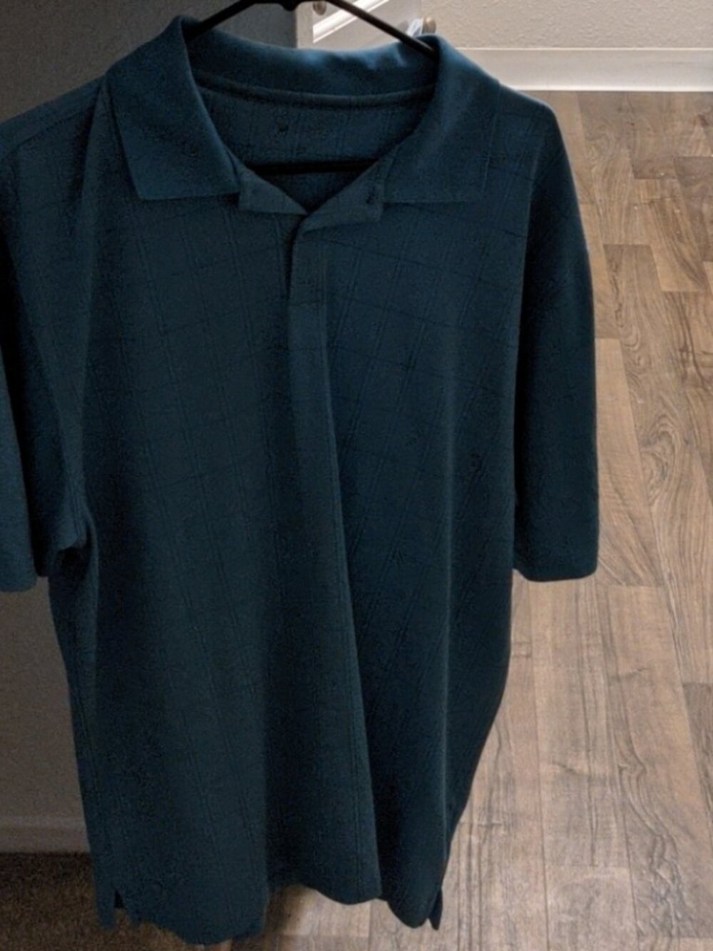 American icon Polo